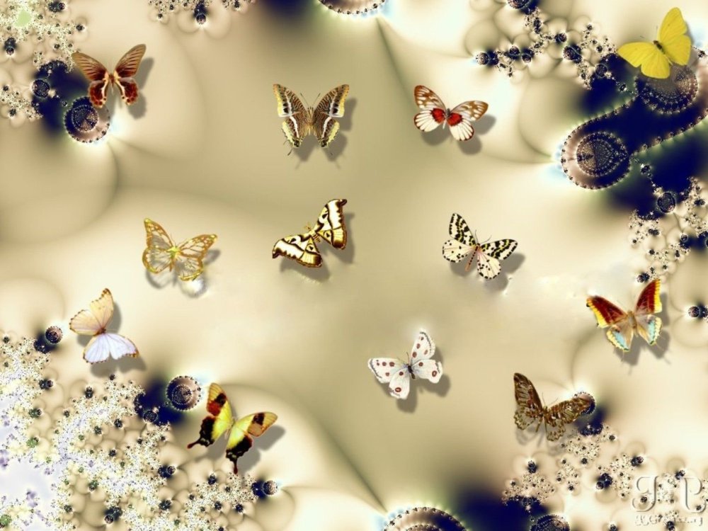 Красивые узоры на черном фоне