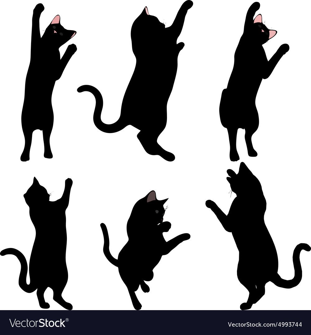 Силуэты кошек в разных позах