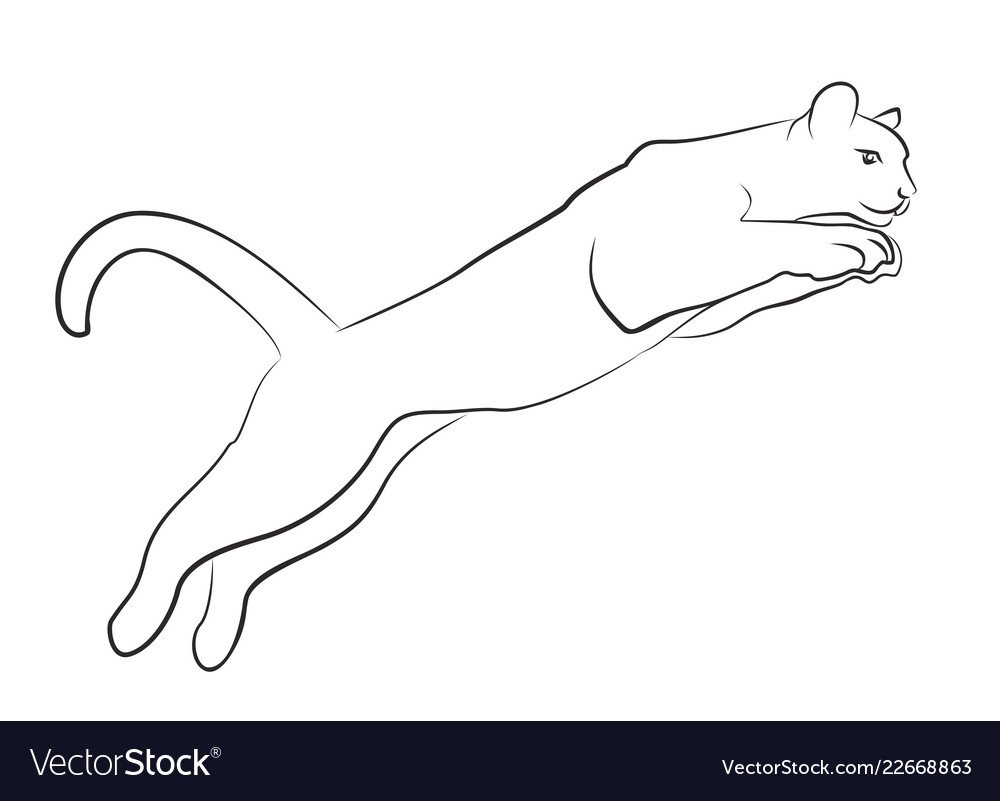 Кошка в прыжке рисунок