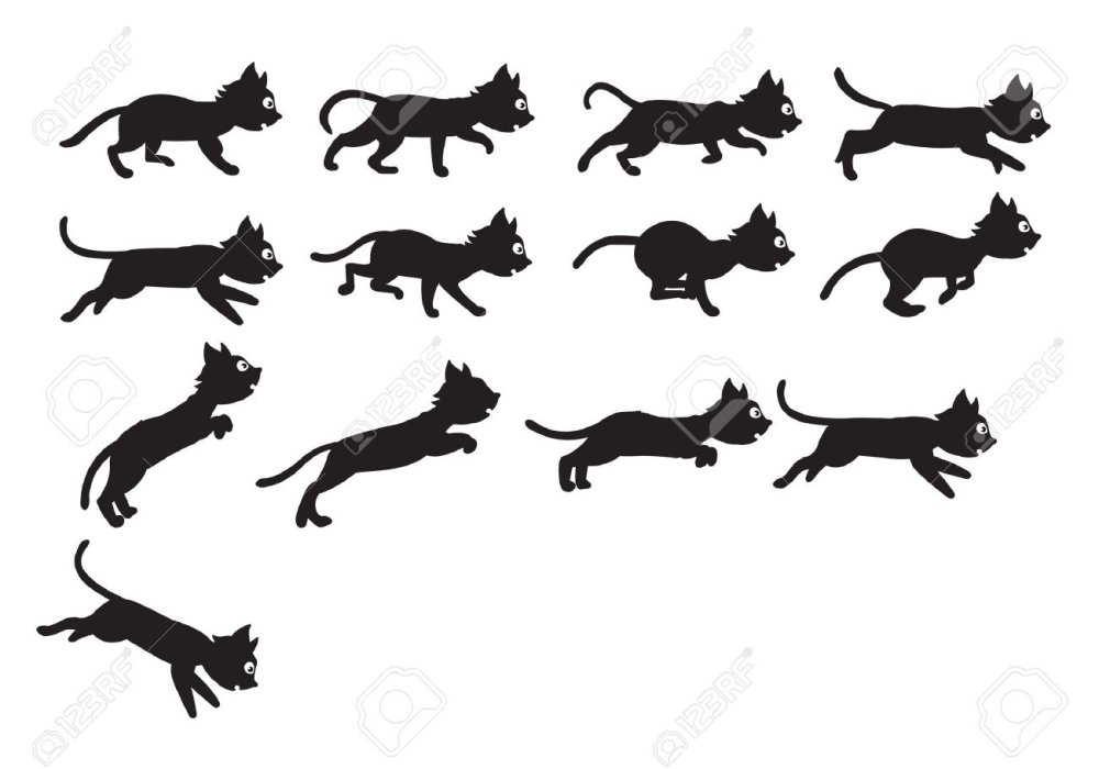 Покадровая анимация кошки