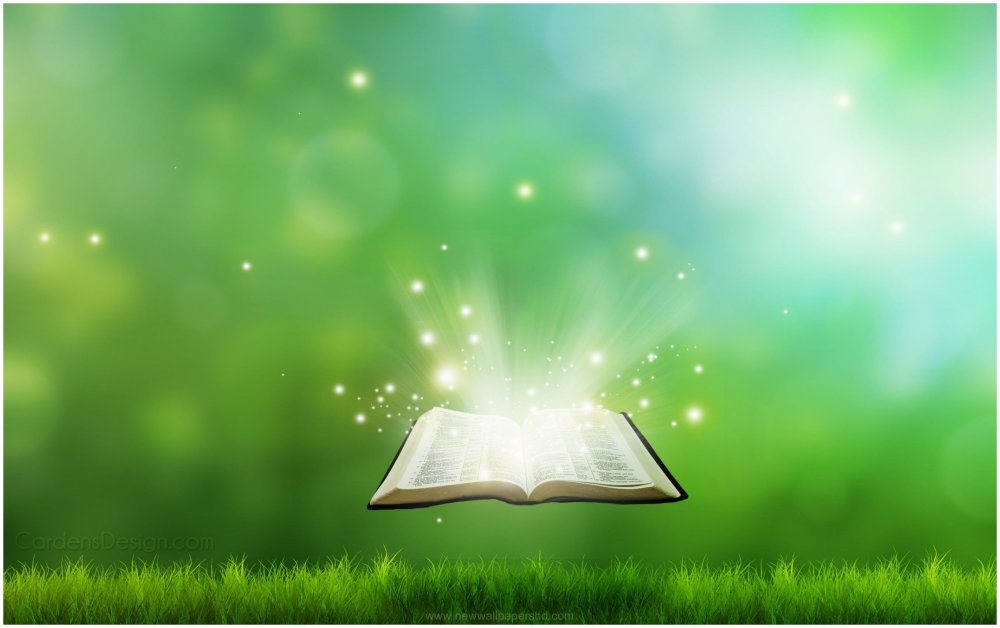 Книжный фон