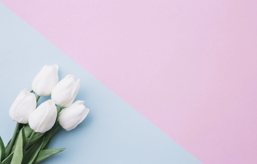 Белые тюльпаны