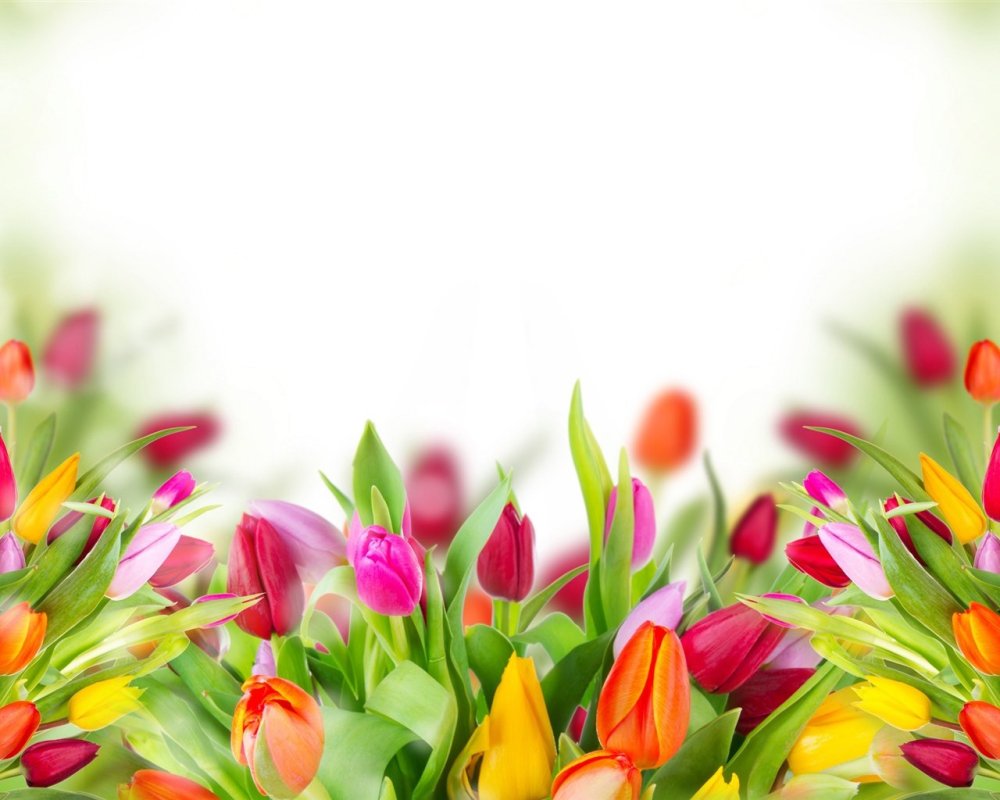 Весенний фон для открытки