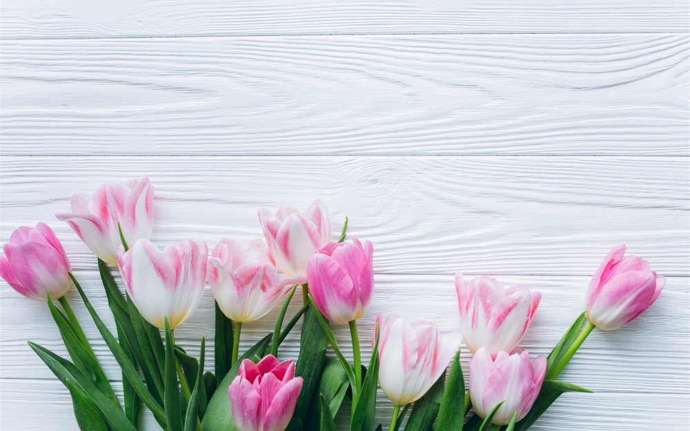 Весенняя акция