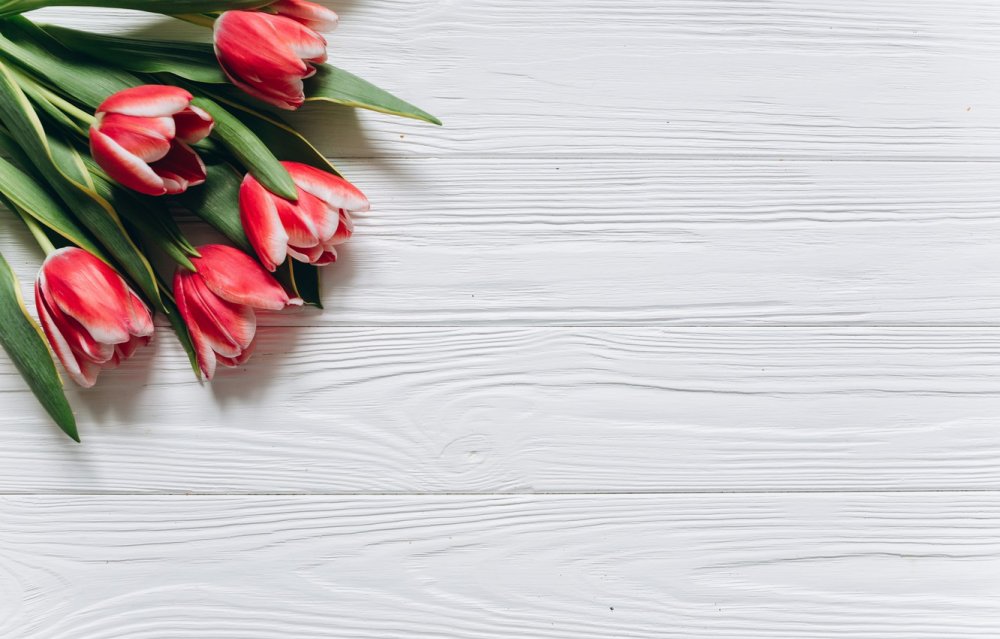 Цветы на столе сверху