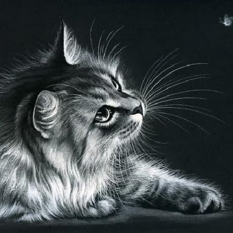 Алмазная мозаика - кошка