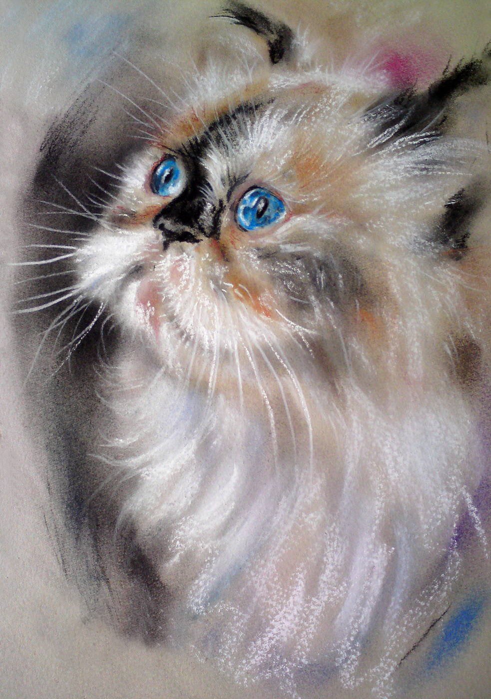 Художник Paul Knight. Кошки