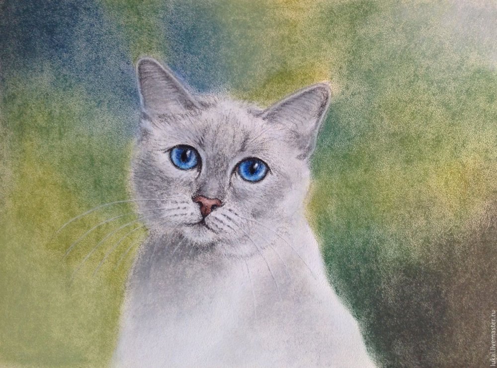 Кошка пастелью