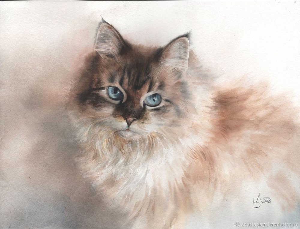 Художница Анастасия Беседина. Кошка