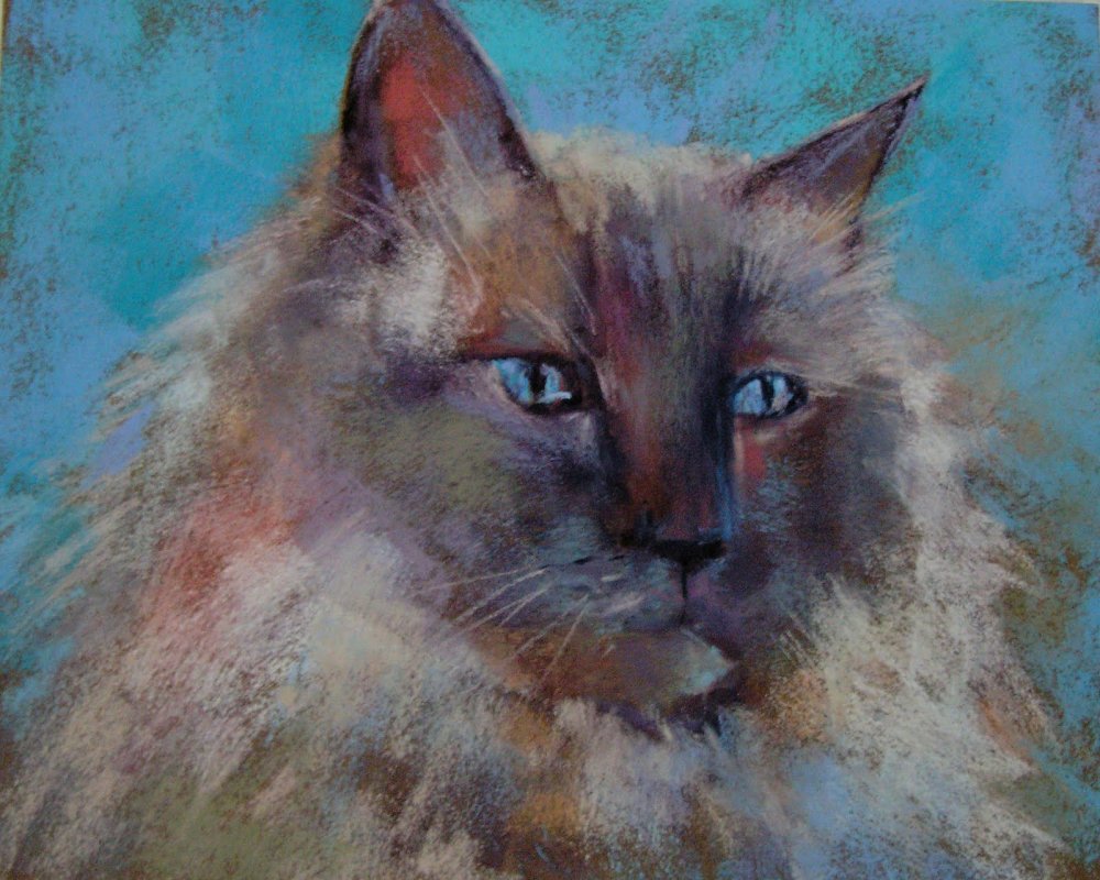 Кошка пастелью с боку