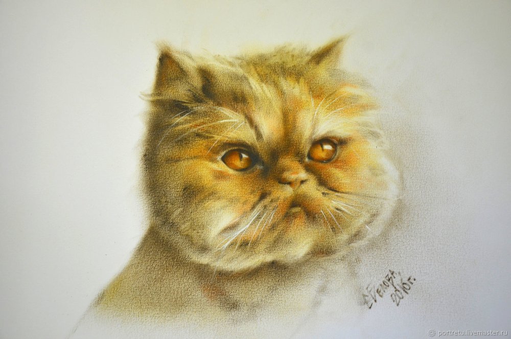 Сухая кисть животные