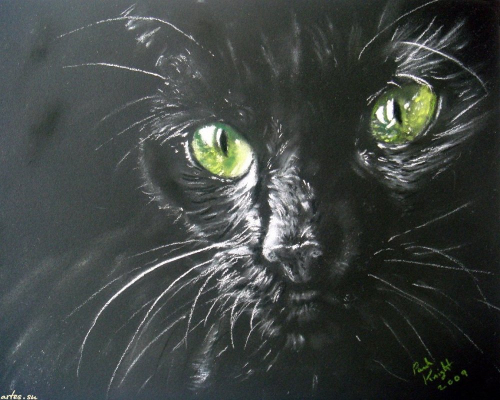 Рисование пастелью на черной бумаге