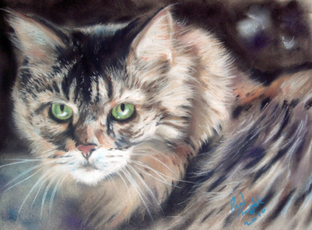 Paul Knight художник