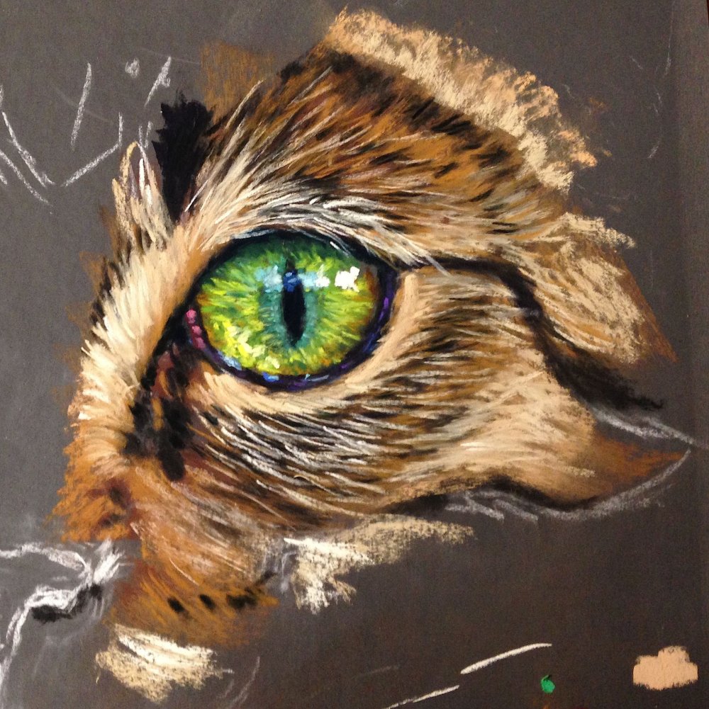 Животных пастелью