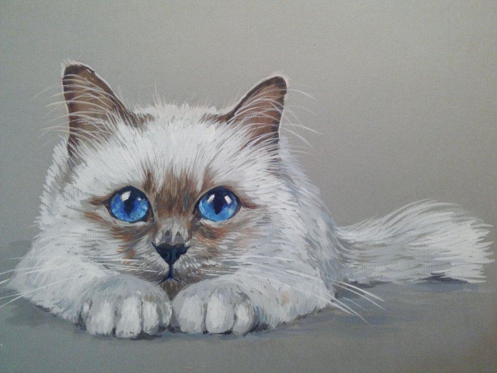 Котенок пастелью