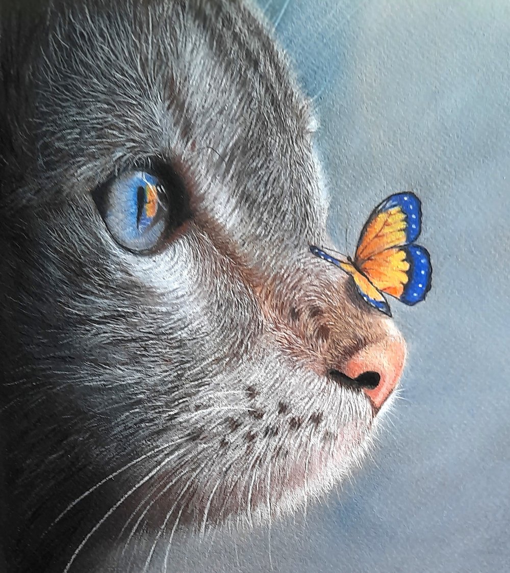 Бабочки пастелью сухой