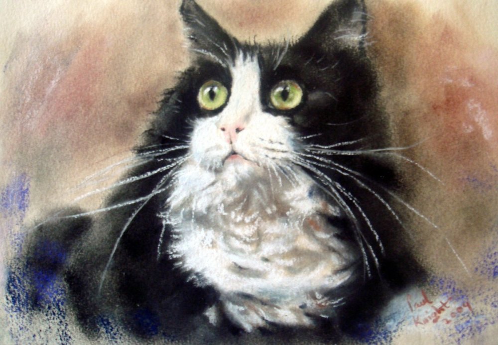 Пол Найт художник