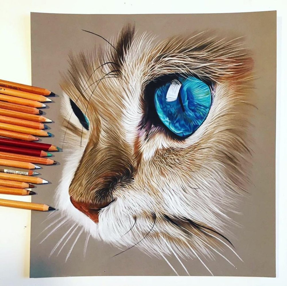 Живопись цветными карандашами