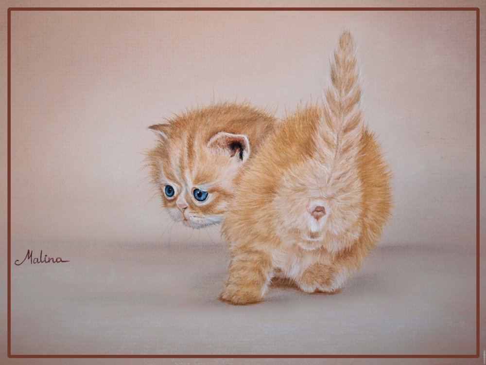 Коты пастелью