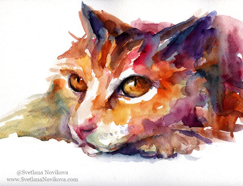 Морда кошки акварелью