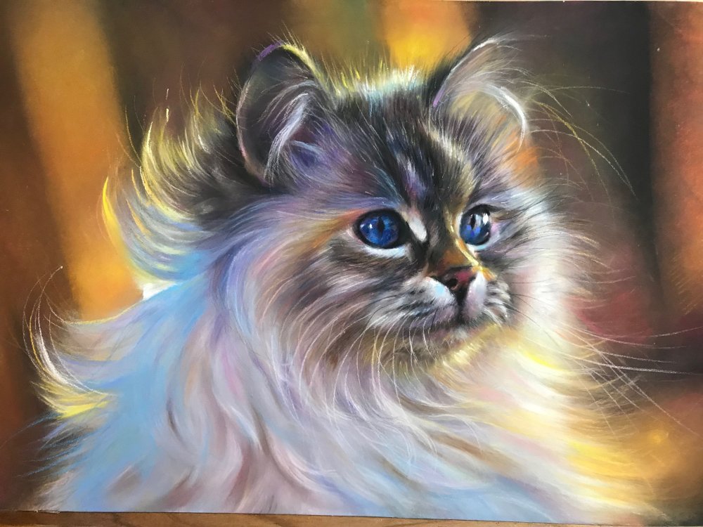 Худ. Яна Голикова. Картины кошек