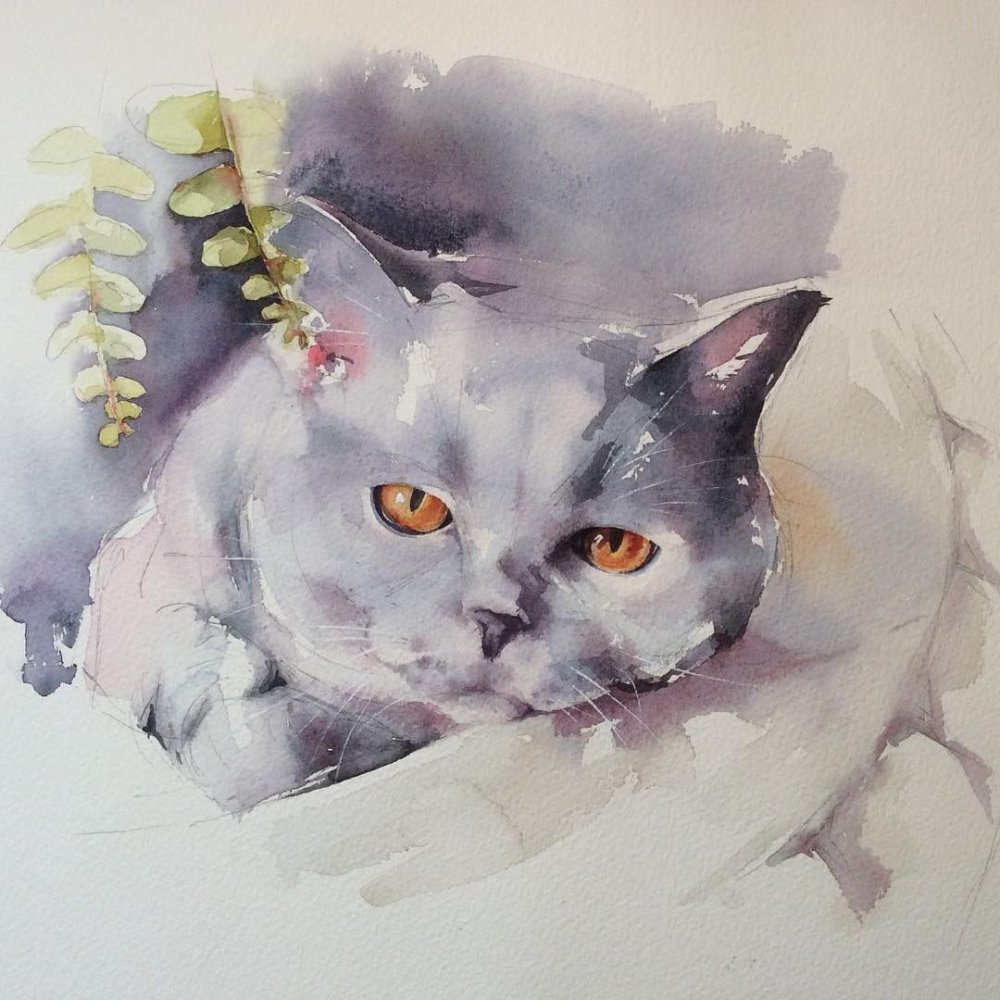 Животные акварелью