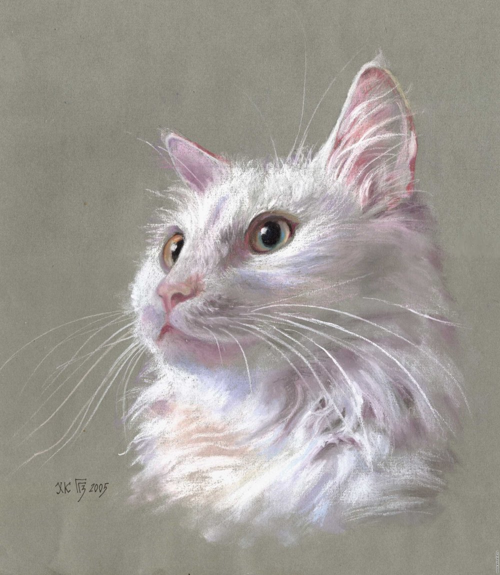 Кошка пастелью