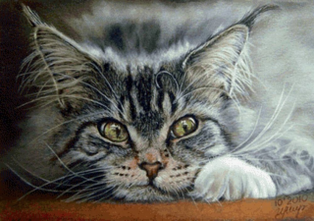 Кошка пастелью