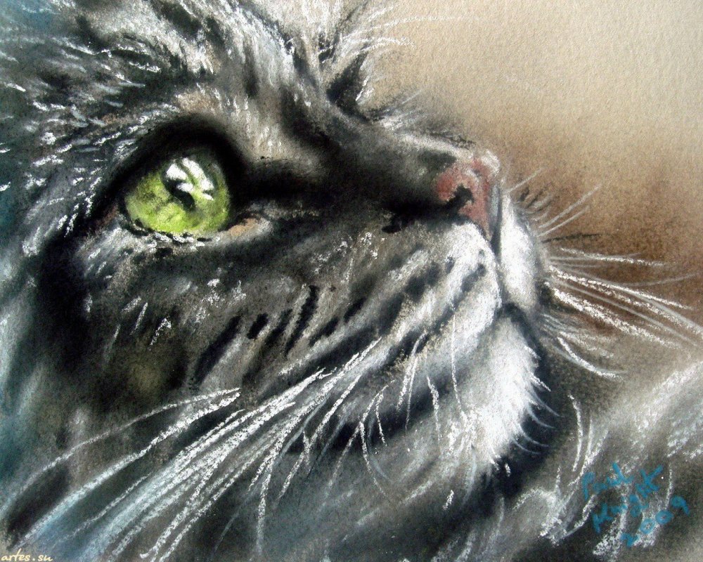 Кот пастелью