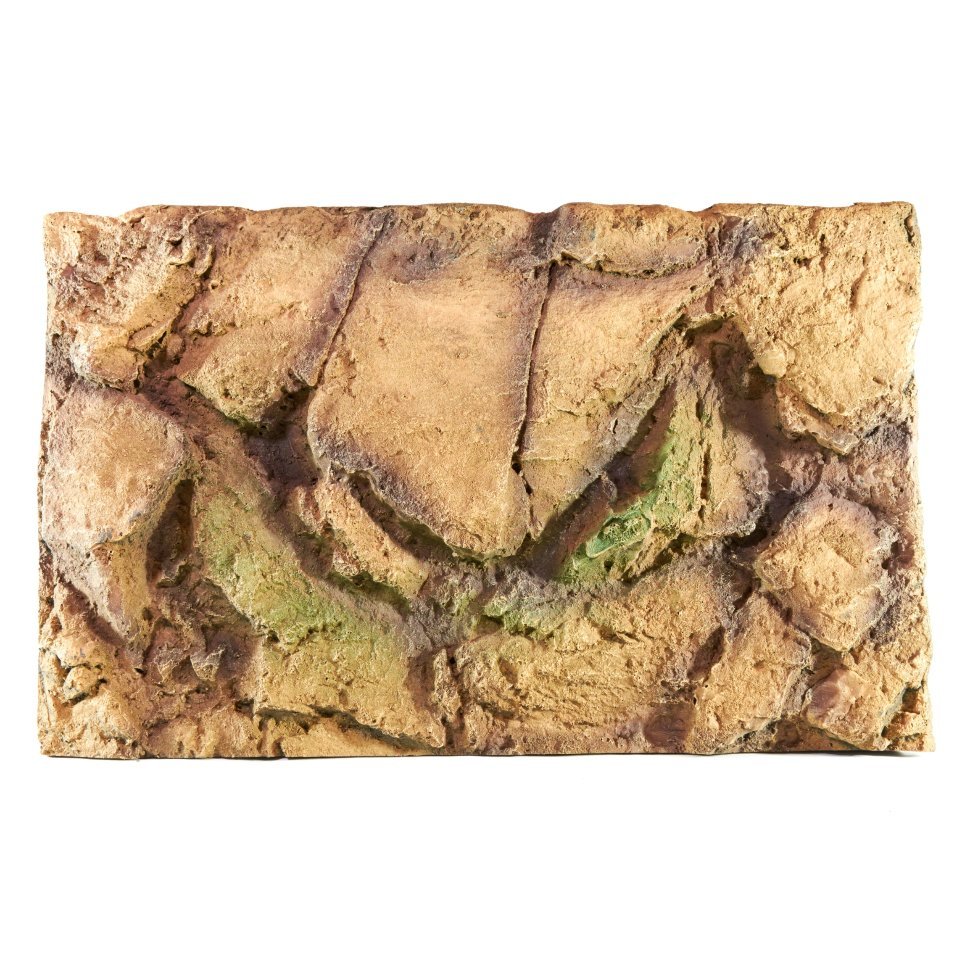 Хабитат для бородатой агамы