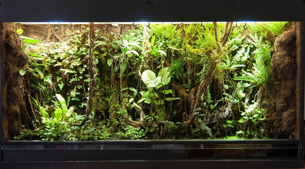 Объемный задний фон для аквариума