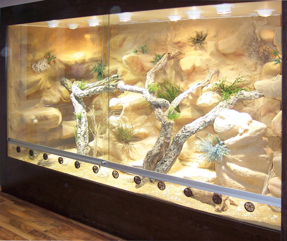 Террариум для змеи