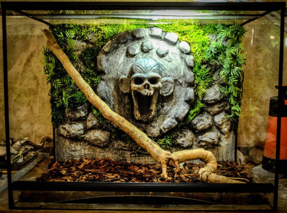 Декорации для террариума