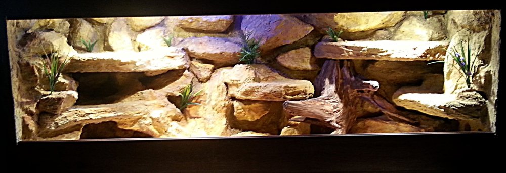 Задний фон аквариума скала