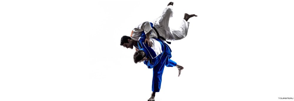 Дзюдо бросок