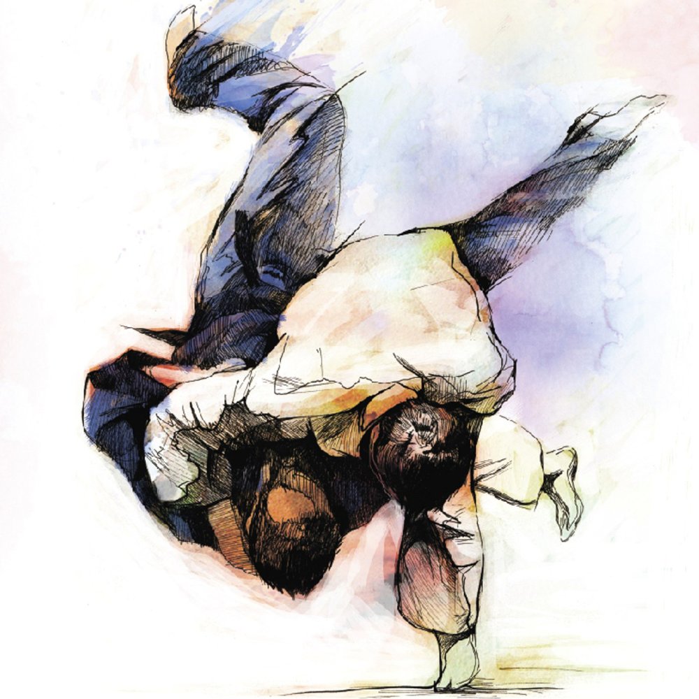 Дзюдо картина