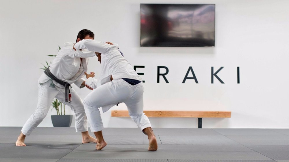 Бразильское джиу-джитсу