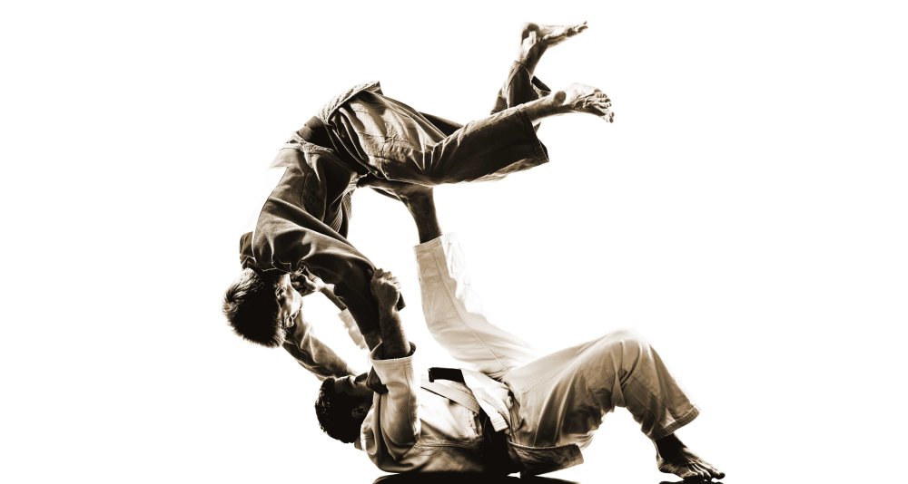 Единоборства на белом фоне