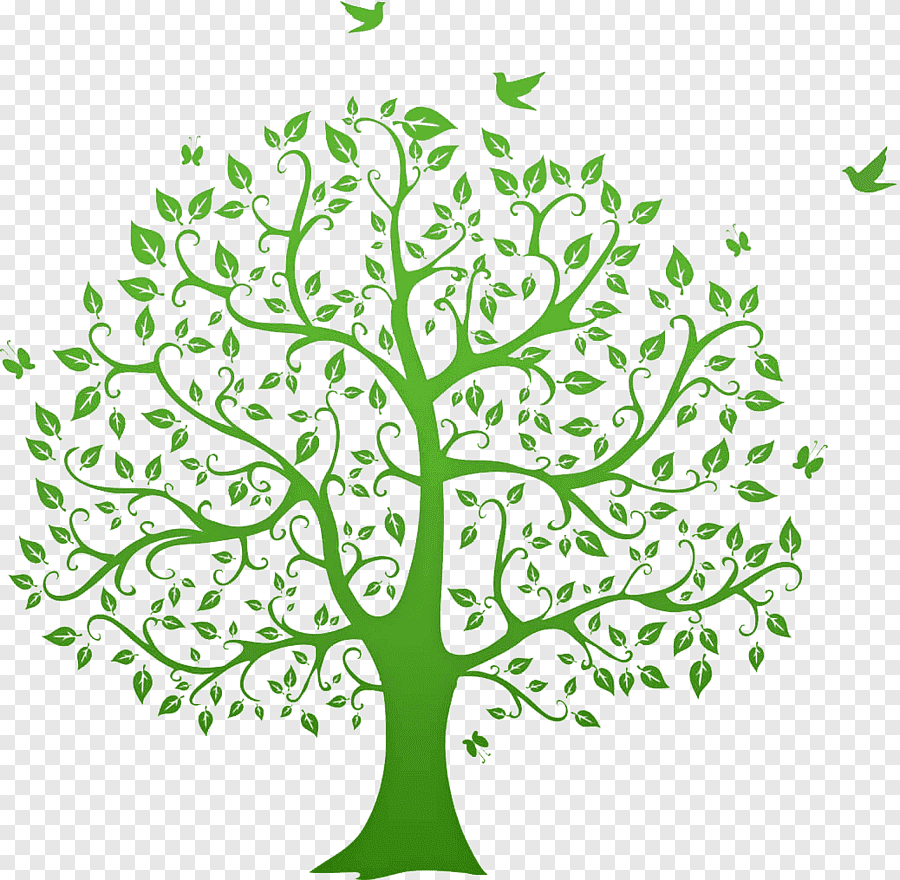 Башкирское Шежере