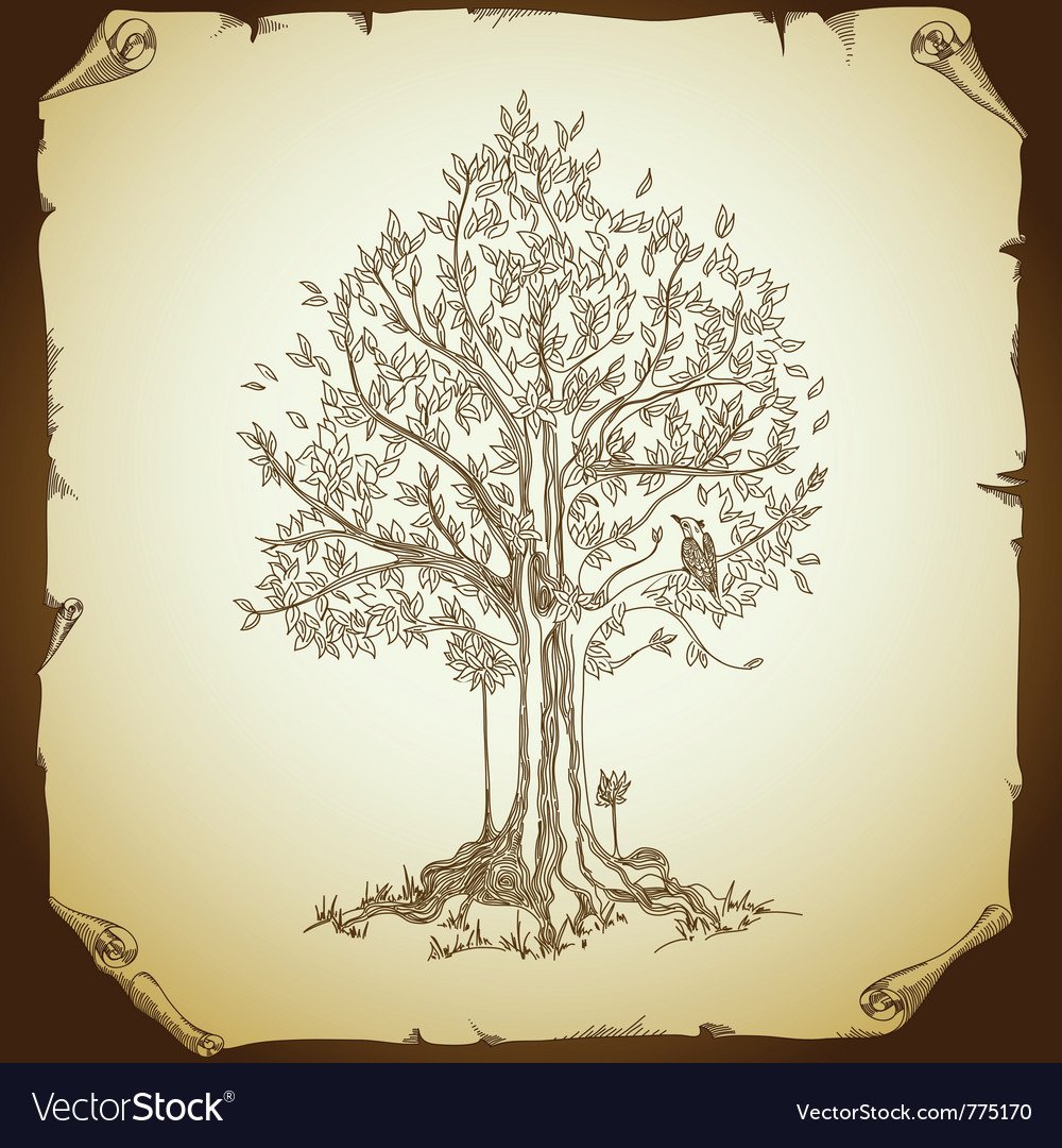 Винтажное дерево для древа