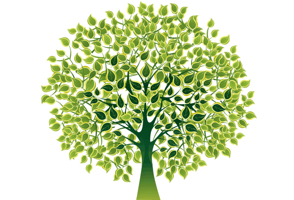 Родословное дерево Шежере