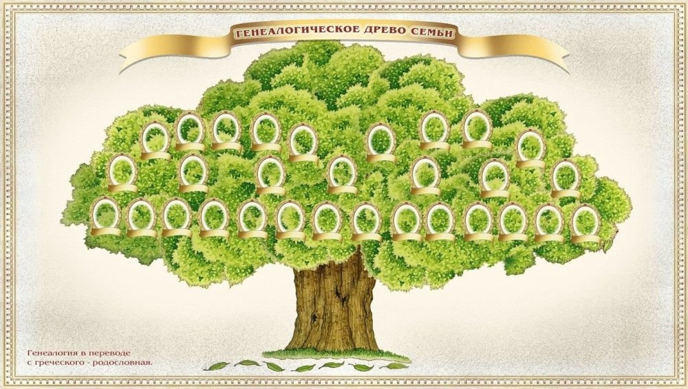 Большое дерево для родословной