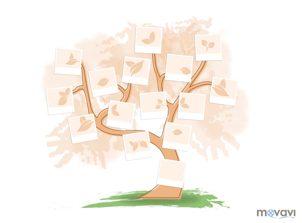 Фон для родословного дерева