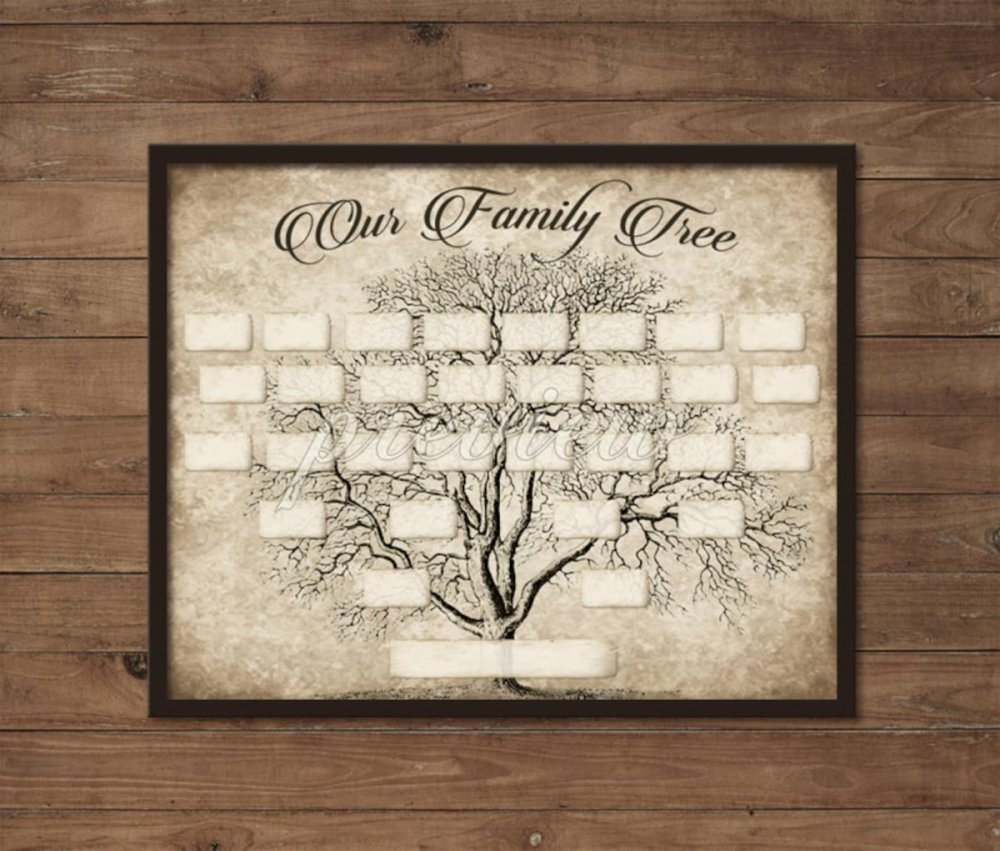 Красивое родословное дерево