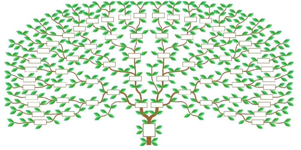 Генеалогическое Древо Family Tree
