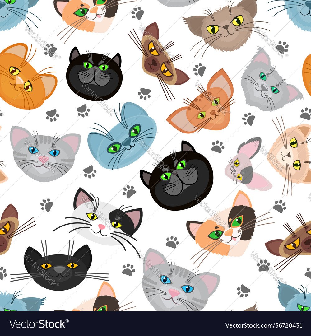 Кошечка мордочка и лапки