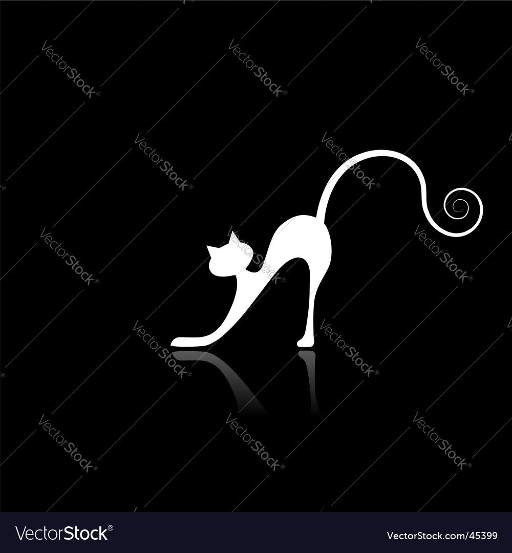 Силуэт кошки на темном фоне