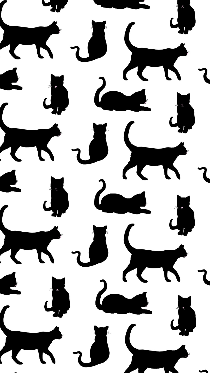 Принт кошки