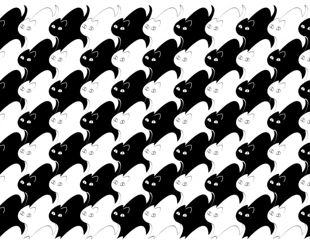 Черно белый принт