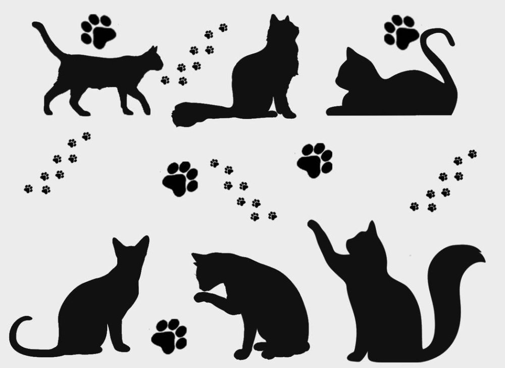 Кошачий вектор